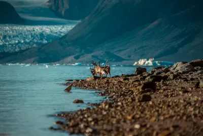 Svalbard: al Polo Nord d’estate